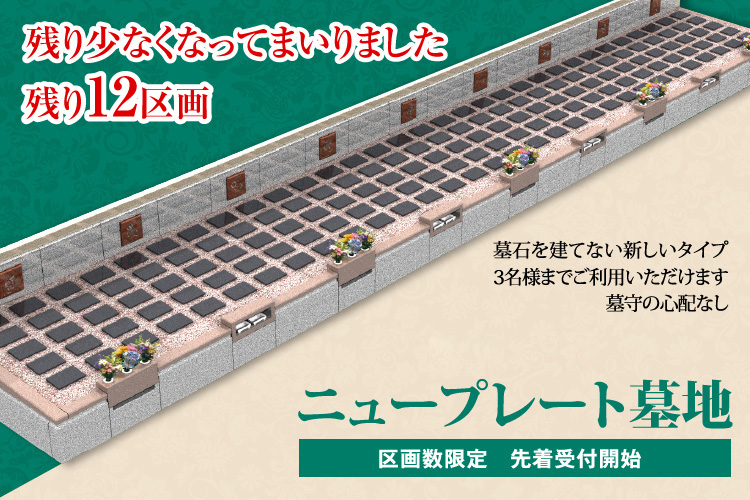 新プレート墓