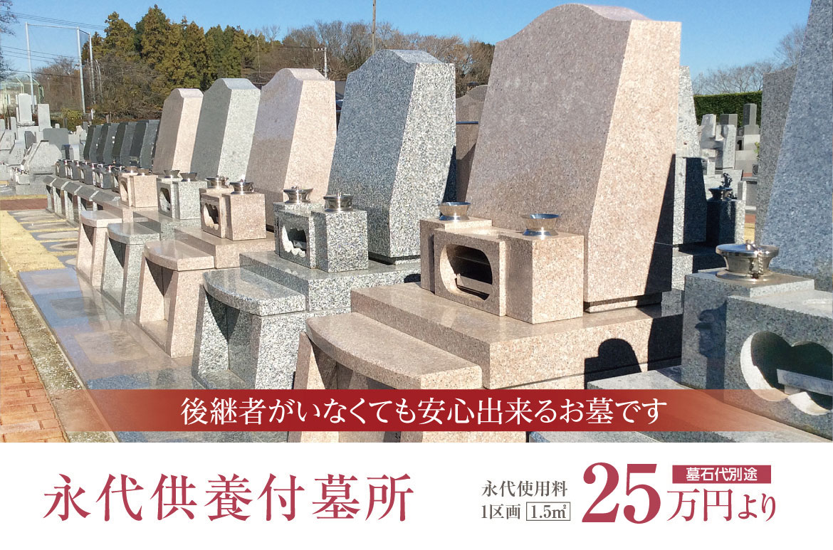 区画限定　新丘カロート